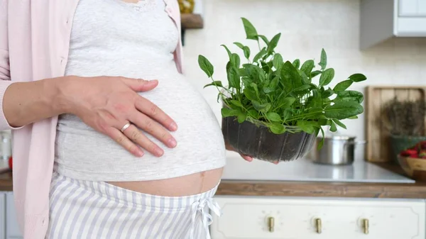 Hälsosam kost av gravida kvinna. Odla ekologisk spenat hemma. — Stockfoto