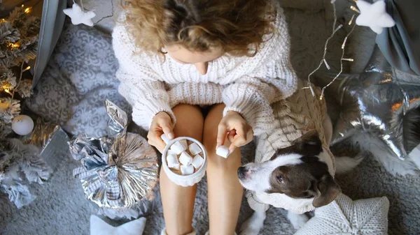 Kazaklı kadın köpekle bir fincan sıcak çikolatayla rahatlıyor. Noel Zamanı. — Stok fotoğraf