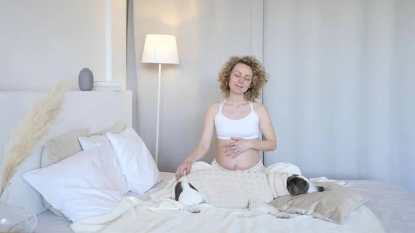 Счастливая беременная женщина отдыхает в постели со своей собакой дома — стоковое фото