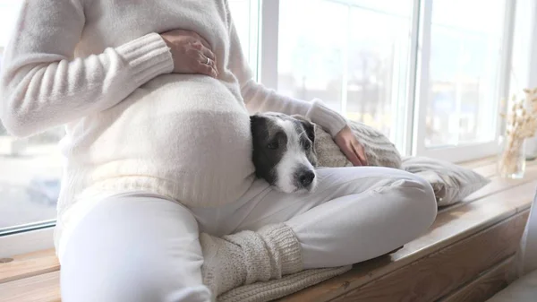 Pregnant Woman Relaxing At Home With Her Dog. Closeup. — Stock Photo, Image