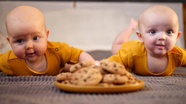 Dos bebés gemelos divertidos arrastrándose a galletas de chocolate Chip —  Fotos de Stock