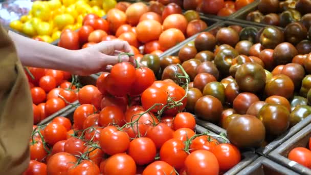 Frau kauft im Supermarkt frisches Gemüse ein und wählt Tomaten aus nächster Nähe. — Stockvideo