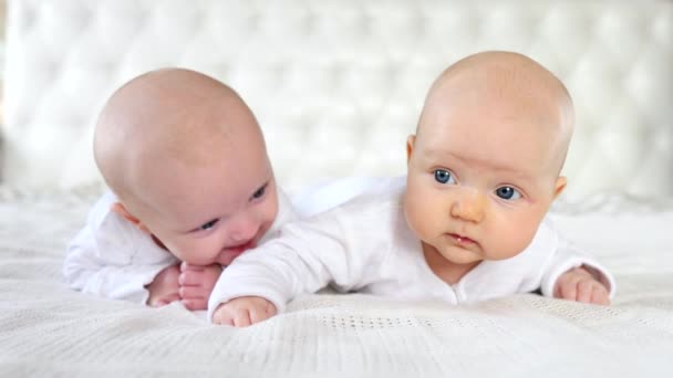 Adorable Newborn Baby Twins Lying Together — Stock Video