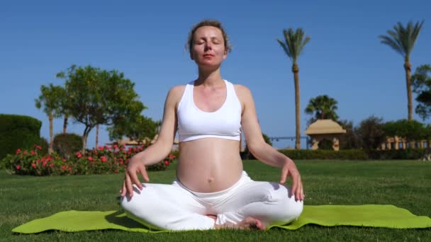 Hermosa mujer embarazada meditando en el parque. Yoga durante el embarazo . — Vídeo de stock