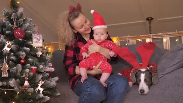 Joven madre feliz con su bebé y su perro reno celebrando la Navidad . — Vídeos de Stock