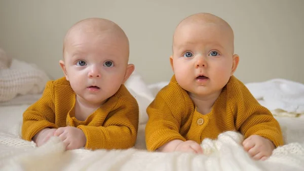 Baby Twin Sisters Lying On Stomach On Bed. — 스톡 사진