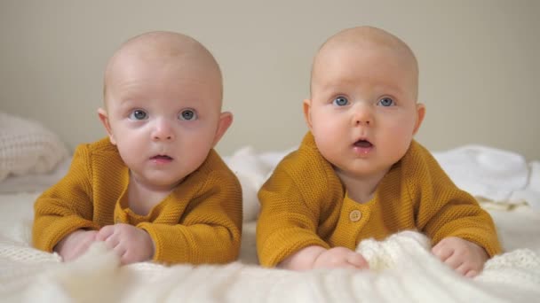 Hermanas gemelas de bebé acostadas sobre el estómago en la cama . — Vídeos de Stock