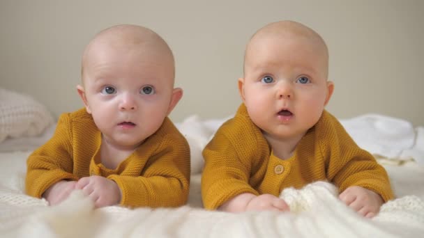 Videos Pour Jumeaux Jumeaux Clips Video Hd 4k Footage Depositphotos Videos Pour Jumeaux Jumeaux Clips Video Hd 4k Footage Depositphotos