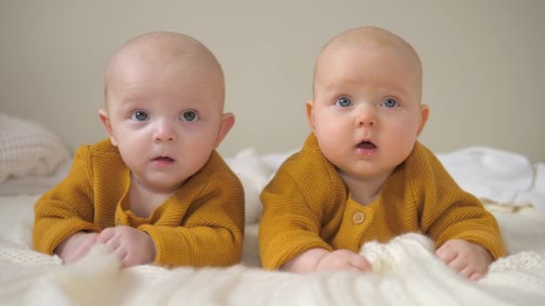 Baby Siostry bliźniaczki leżące na brzuchu na łóżku. — Wideo stockowe