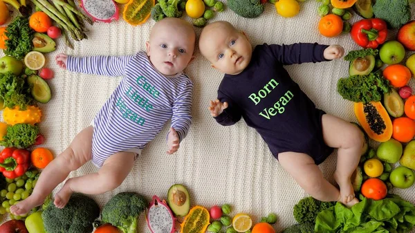 Vegano bebé gemelos acostado con verduras orgánicas frescas y frutas . — Foto de Stock