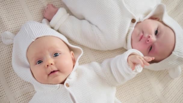 Jumeaux bébés couchés ensemble sur le lit portant des pulls tricotés — Video