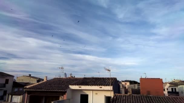 Telhados Porto Cristo Maiorca Pôr Sol Com Milhares Andorinhas Céu — Vídeo de Stock