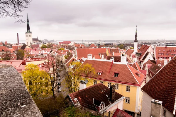 Tallinn, Estonya 'nın hava manzarası
