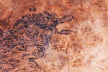 gül ağacı egzotik, malzeme Danışma inşa, doğal arka plan