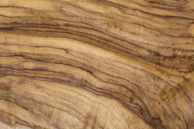 gül ağacı Resepsiyon desen, ahşap malzeme inşa