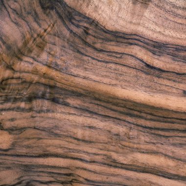 gül ağacı Resepsiyon desen, ahşap malzeme bina