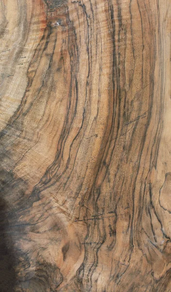 palisander egzotik, malzeme Danışma inşa, doğal arka plan