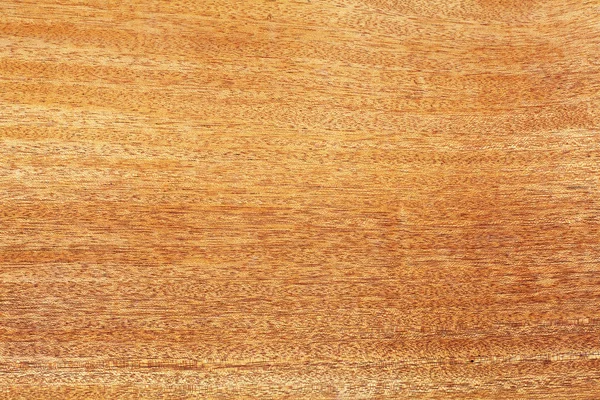 egzotik Resepsiyon desen, ahşap malzeme