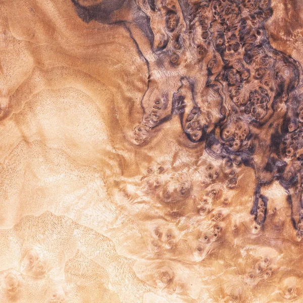 gül ağacı Resepsiyon desen, ahşap malzeme inşa