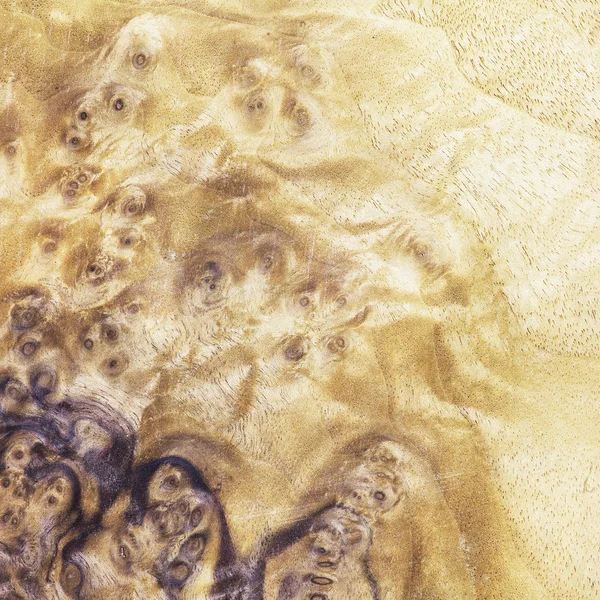 gül ağacı Resepsiyon desen, ahşap malzeme inşa