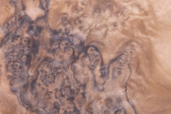 gül ağacı inşa Resepsiyon desen, ahşap malzeme