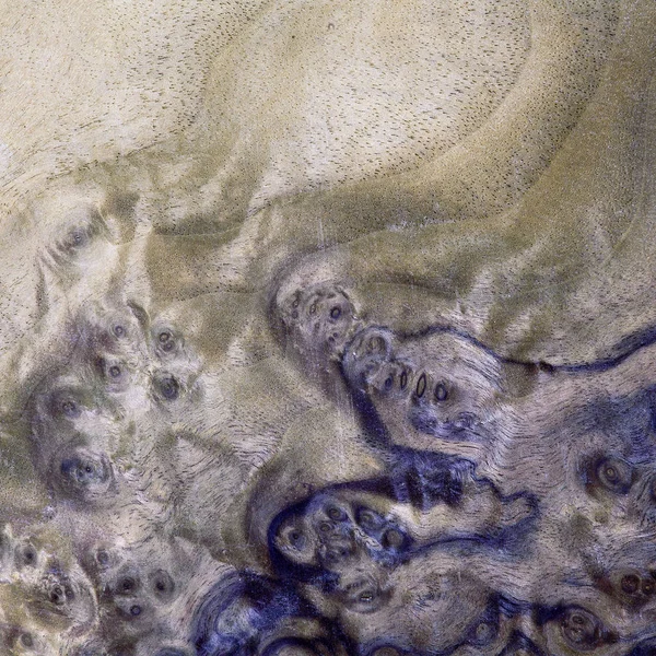 gül ağacı Resepsiyon desen, eski ahşap malzeme