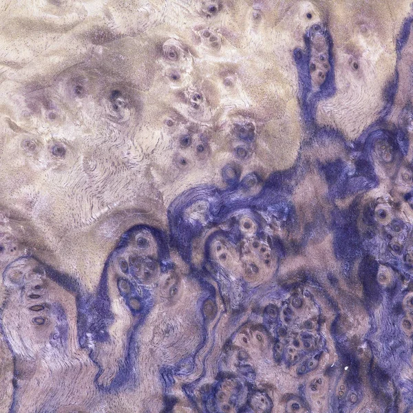 egzotik Resepsiyon desen, ahşap malzeme