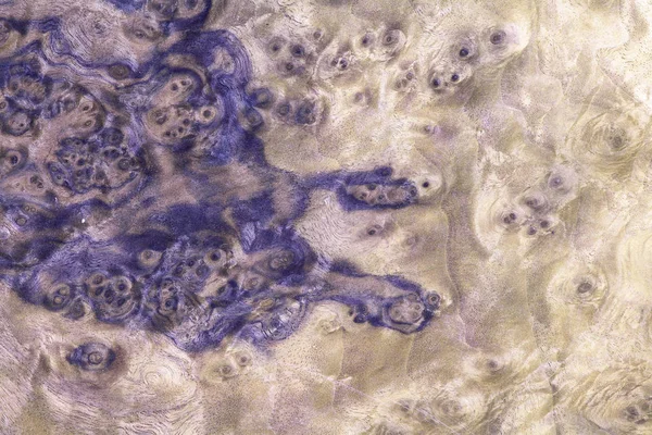 gül ağacı Resepsiyon desen, doğa ahşap malzeme inşa