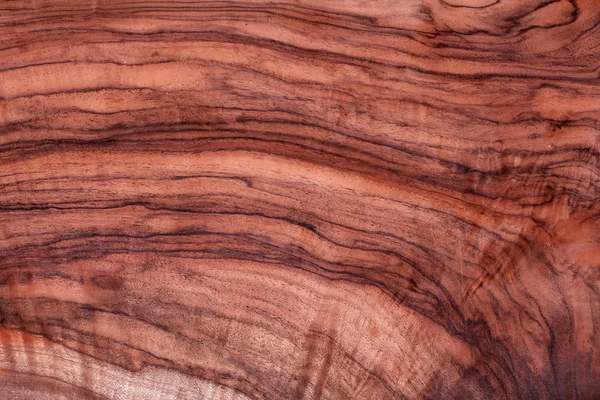 gül ağacı Resepsiyon desen, ahşap malzeme bina