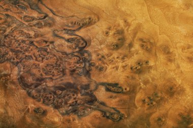 gül ağacı doku deseninin, doğal parke