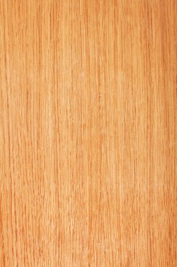 ahşap doku, meşe doğal Resepsiyon