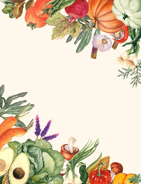 Akvarel Zeleniny Hranice Zeleninou Ručně Kreslený Akvarel Ilustrace — Stock fotografie