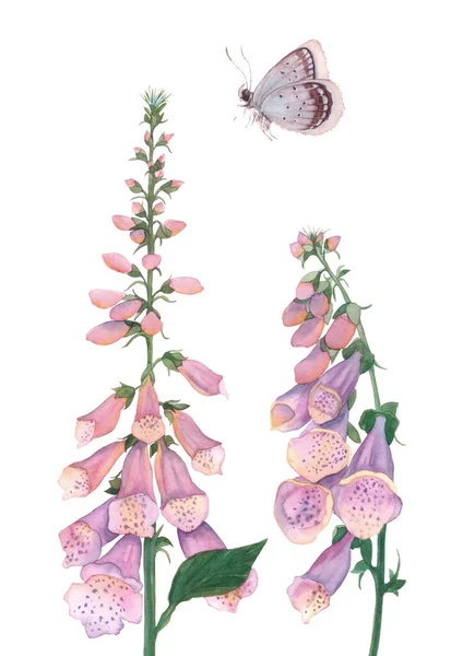 Acquerello Foxglove Bouquet Fiori Farfalla Acquerello Arredamento Domestico Fiori Acquerello — Foto Stock