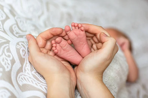 Ноги Новорожденного Руках Родителей Белом Фоне Маленькие Ножки Новорожденного Ребенка — стоковое фото