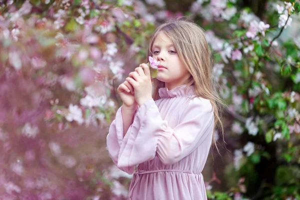 Meisje Met Een Bloem Tijdens Het Appelbloesem Seizoen Het Voorjaar — Stockfoto