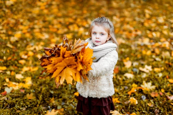 Een Herfstdag Speelt Een Meisje Met Herfstbladeren Een Wandeling Kinderspelen — Stockfoto