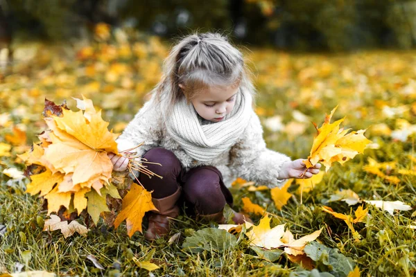 Маленька Дитина Восени Гуляє Природі Дитячі Ігри Восени Осінній Зовнішній — стокове фото