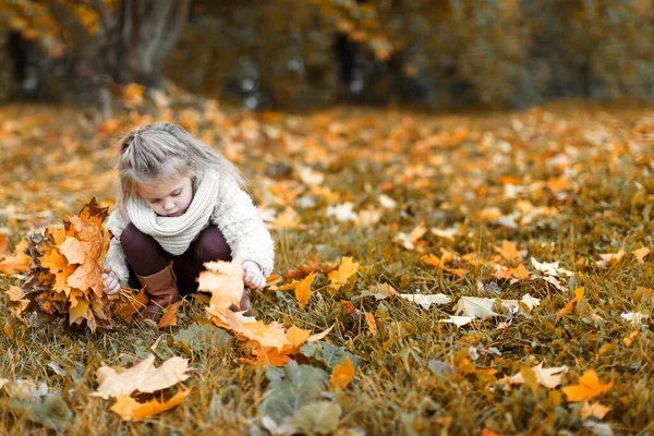 Ένα Όμορφο Κοριτσάκι Παίζει Φθινοπωρινά Φύλλα Στο Πάρκο Παιδική Ηλικία — Φωτογραφία Αρχείου