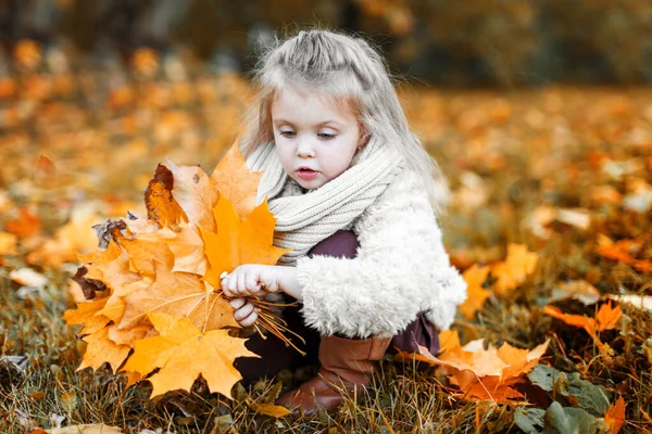 Κοριτσάκι Περπατάει Στο Πάρκο Φθινόπωρο Φθινόπωρο Υπαίθριο Πορτρέτο Ενός Ευτυχισμένου — Φωτογραφία Αρχείου