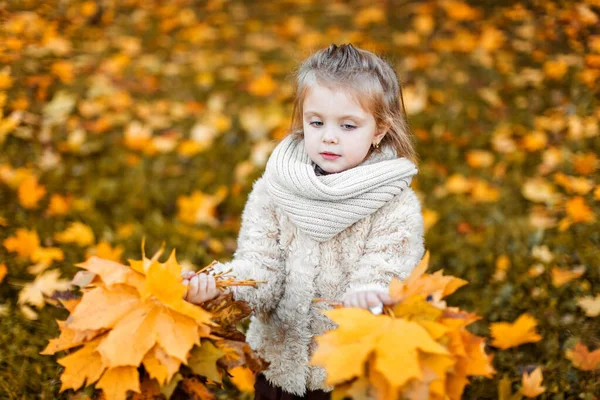 Ein Hübsches Kleines Mädchen Hält Herbstblätter Ihren Händen Ein Kind — Stockfoto