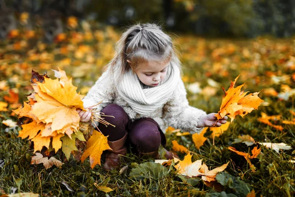 Küçük Kız Sonbaharda Parkta Yürür Parkta Sarı Yapraklı Mutlu Bir — Stok fotoğraf