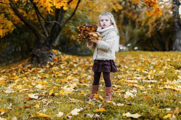 Uma Criança Parque Outono Uma Menina Reuniu Folhas Outono — Fotografia de Stock