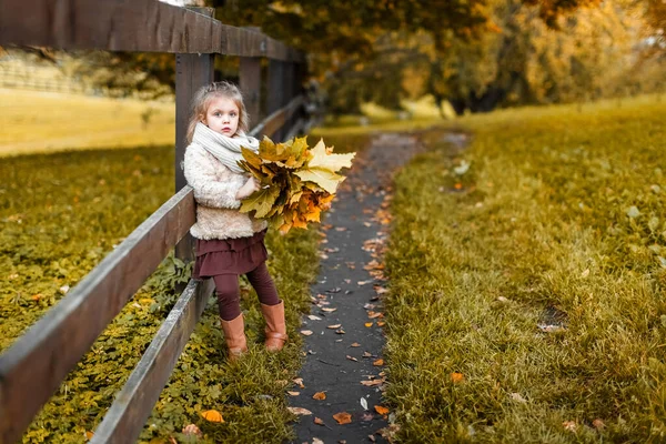 Kislány Őszi Parkban Gyerekkor Ősszel Egy Csinos Lány Őszi Levelekkel — Stock Fotó