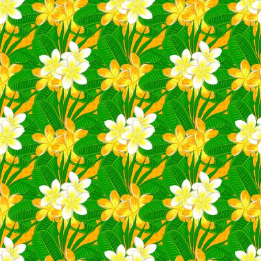 Sarı arka planda suluboya çiçekleri. Plumeria çiçek desenine ilham veren parlak bir resim. Vektörsüz arkaplan.