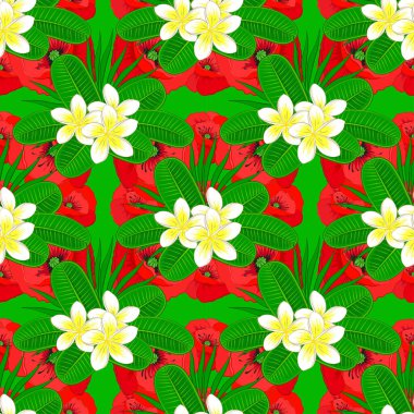 Kumaş, tekstil ve ambalaj kağıtları için dekoratif süs. Plumeria çiçekli vektör çizgili, pürüzsüz desen. Yeşil arka planda çiçek duvar kâğıdı. Geleneksel doğulu dikişsiz şal deseni.