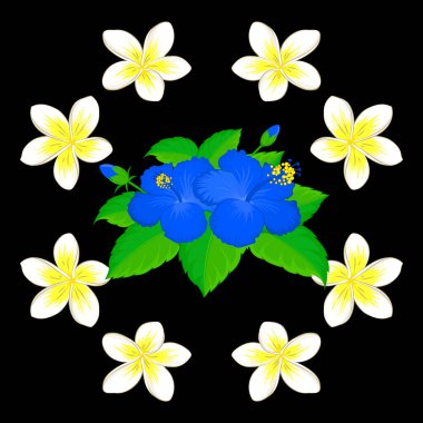 Plumeria çiçekleri ve siyah arkaplanda yaprakları olan kusursuz çiçek deseni..