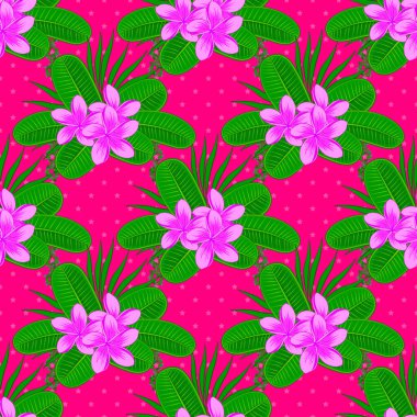 Plumeria çiçeği morumsu arka planda pürüzsüz desen.