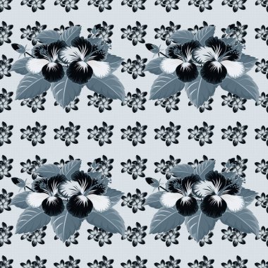 Mavi ve gri renkli Hibiscus çiçekleri.