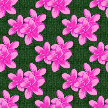 Plumeria çiçekleriyle klasik tarzda enfes bir desen. Yeşil arka planda suluboya, kalitesiz Plumeria çiçekleri olan moda bir baskı. Dekorasyon ve tasarım için güzel vektörsüz desen.