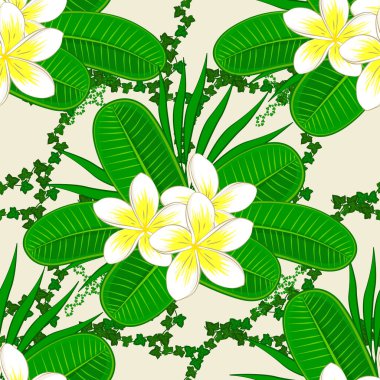 Renksiz çiçek vektör deseni 